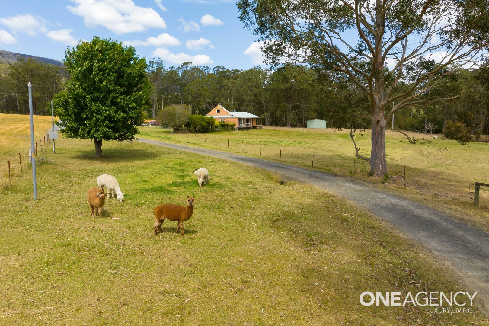 47C Mount Scanzi Road, Kangaroo Valley NSW 2577, Image 2