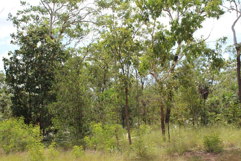 Additional image 17 of 155 Serrata Road, Dundee Downs NT 0840