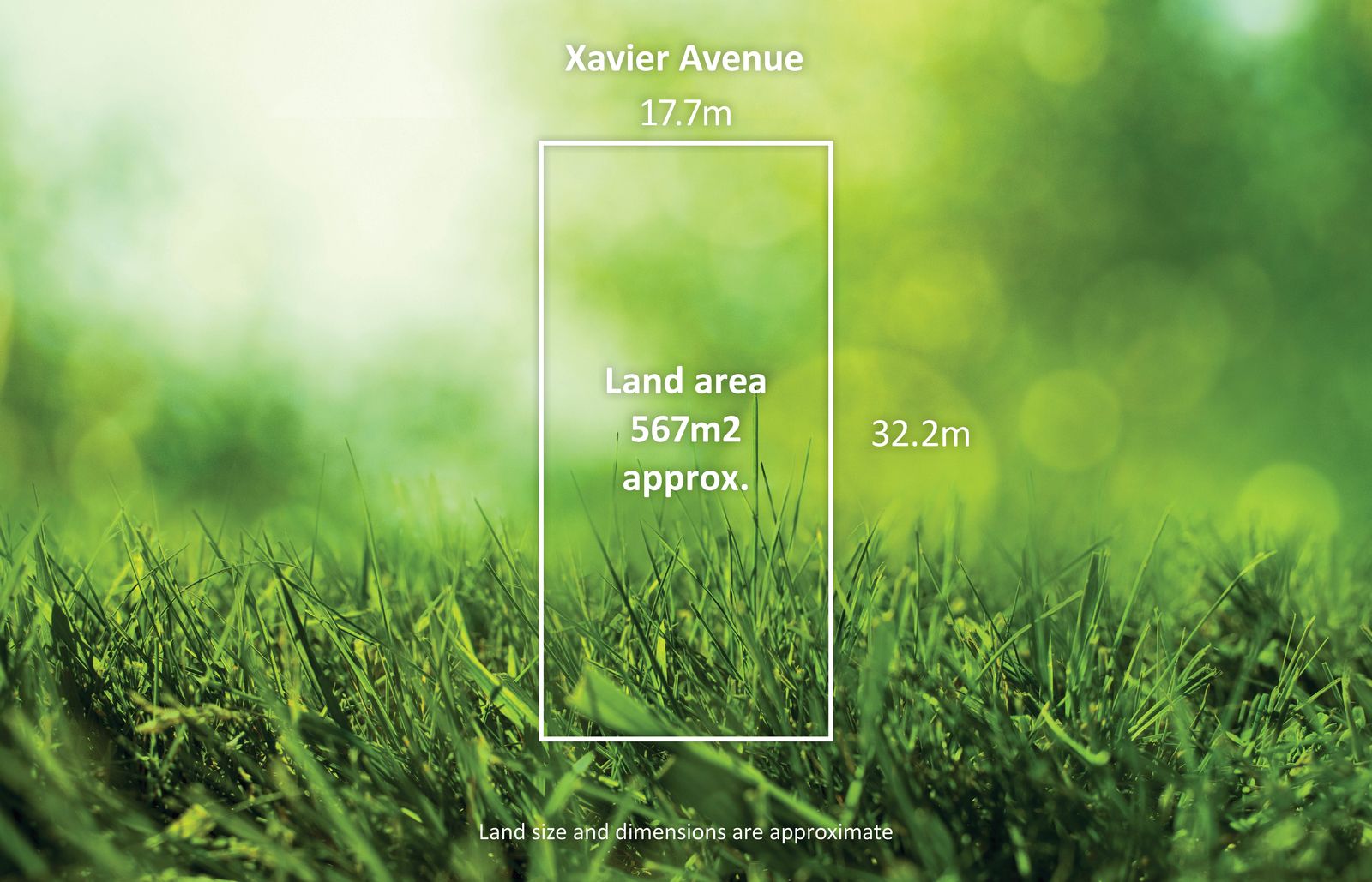 4 Xavier Avenue, Hawthorn VIC 3122, Image 0