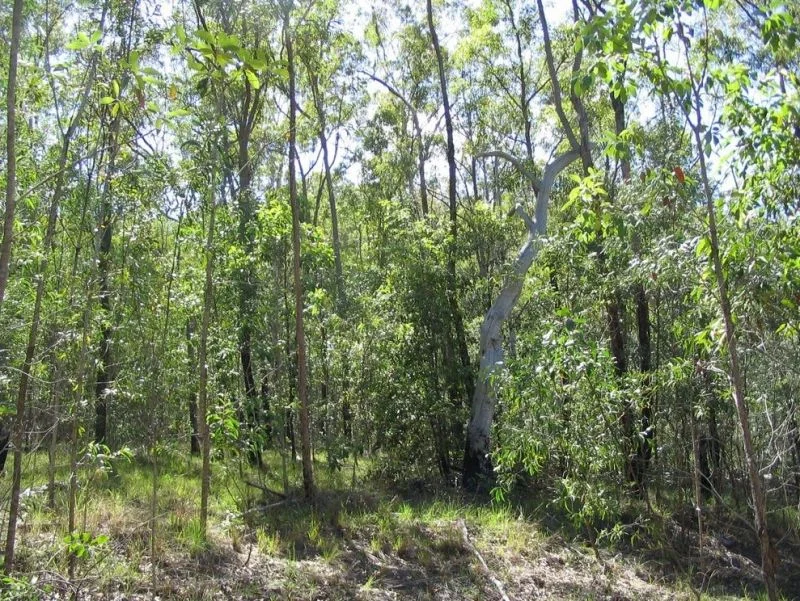 Image 6