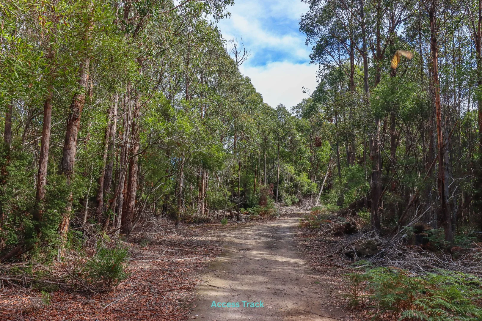 Additional image 13 of 1 Link Road, Lonnavale TAS 7109