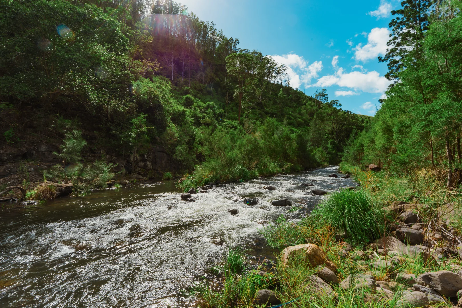 Image 32