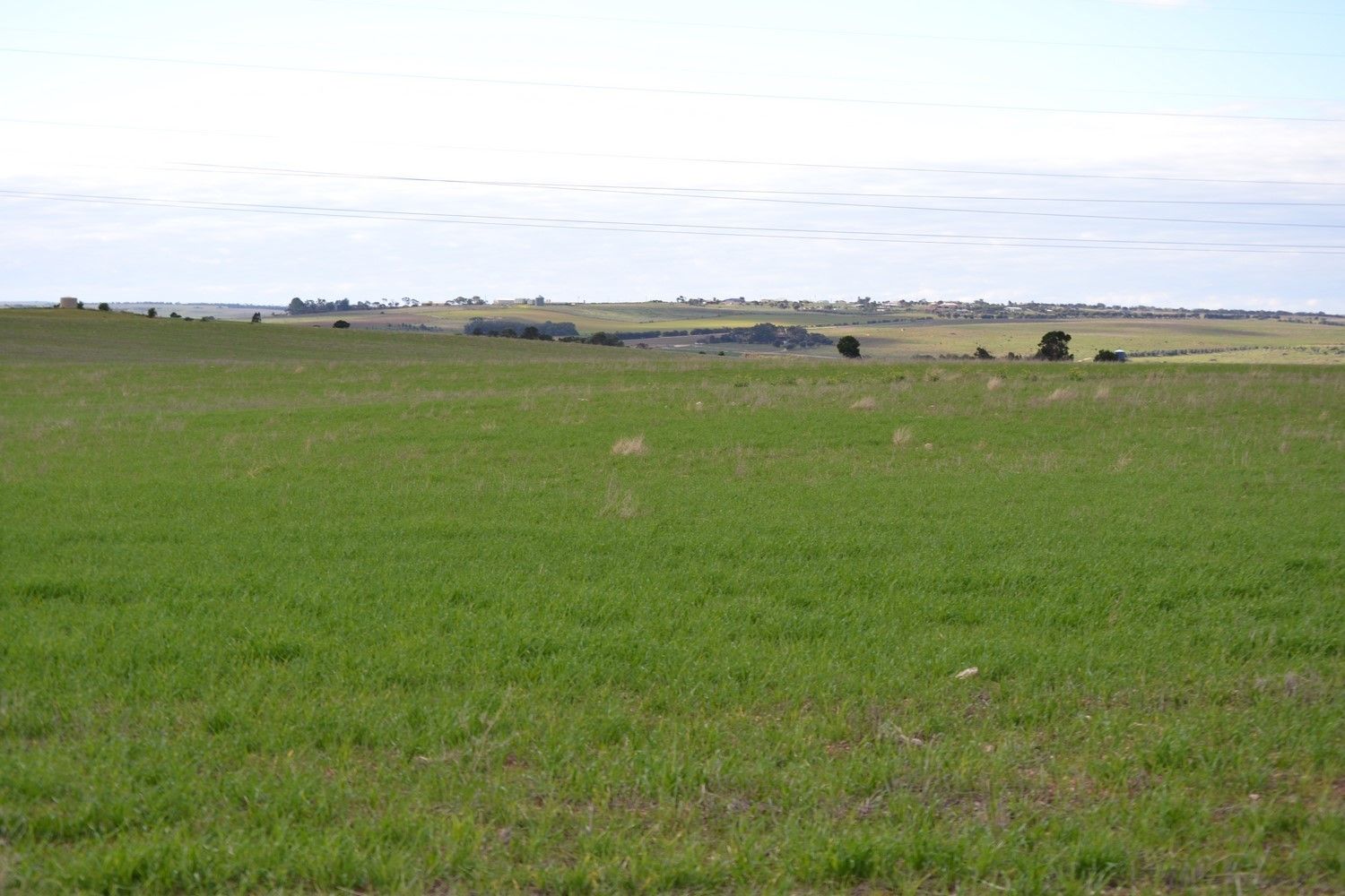 Lot 91 Kuchel Road, Toora SA 5253, Image 1