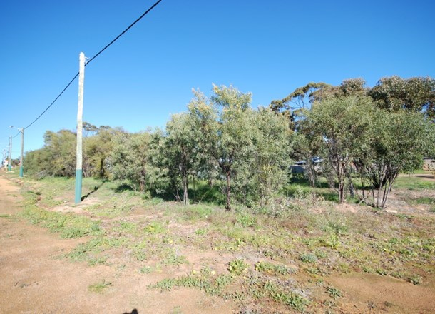 33 Eliot Street, Pingelly WA 6308