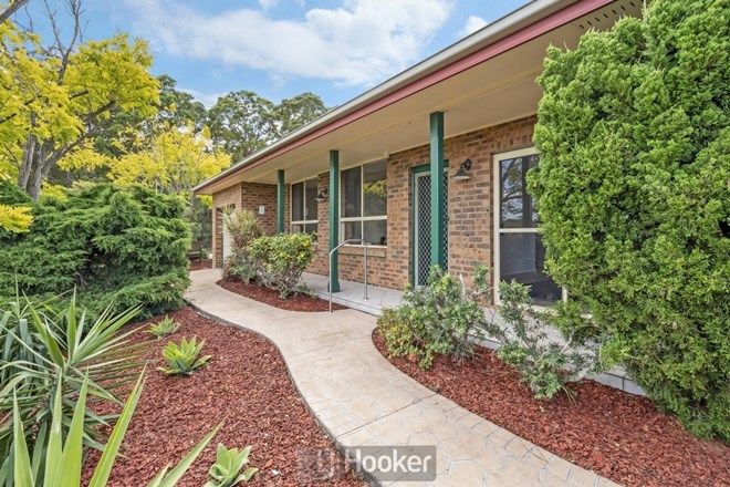 66 3 Bedroom Houses For Sale In Tingira Heights Nsw 2290 Domain
