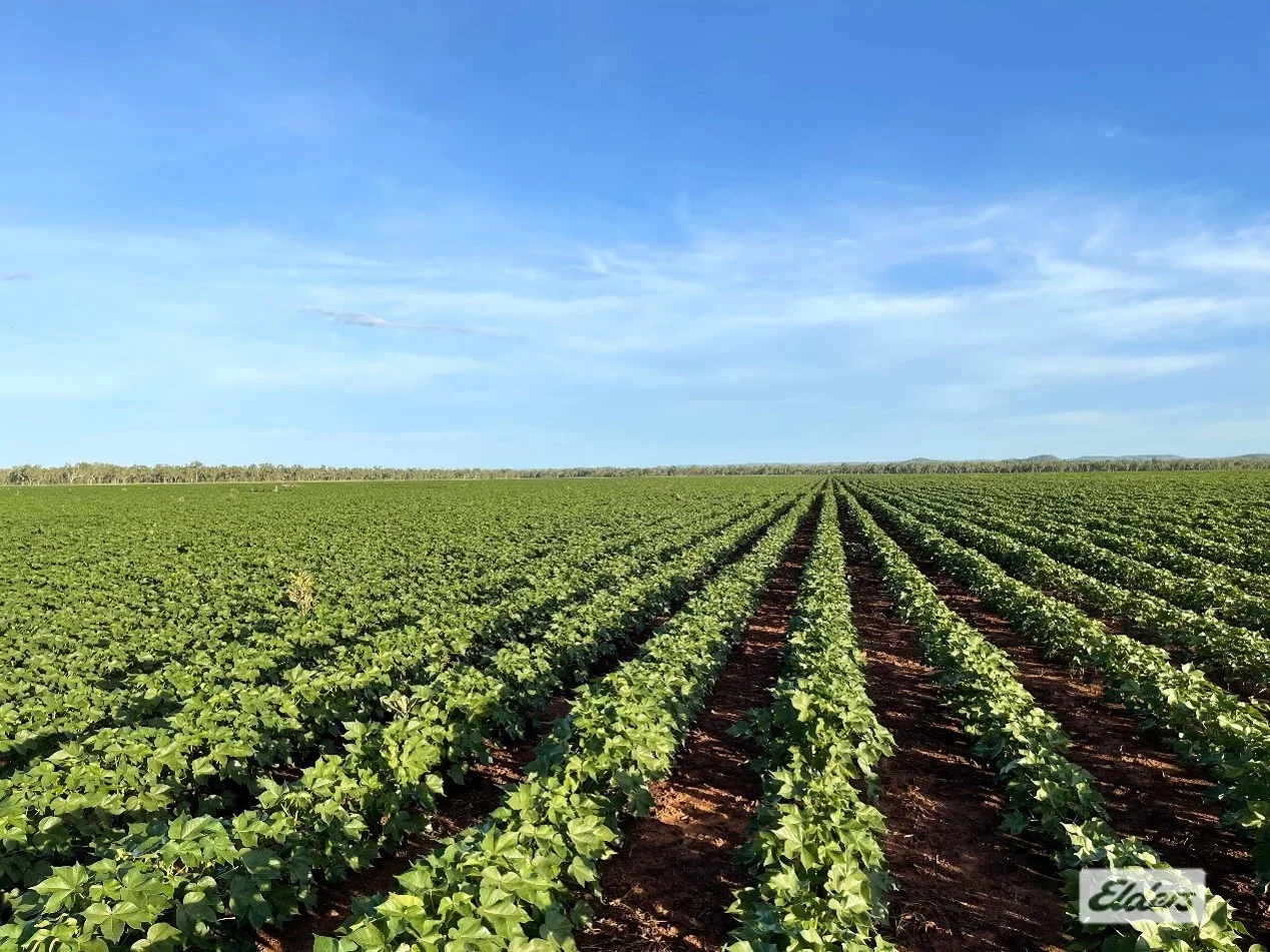 Additional image 16 of 2170 Edith Farms Road, Katherine NT 0850