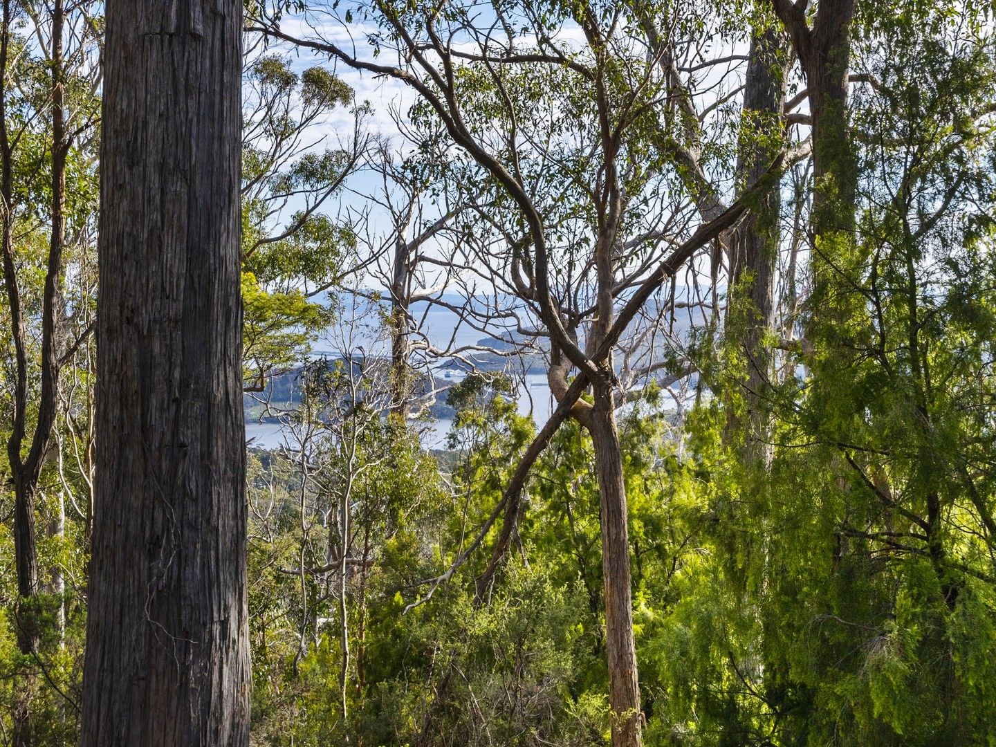 Lot 4 Tip Road, Nubeena TAS 7184, Image 0