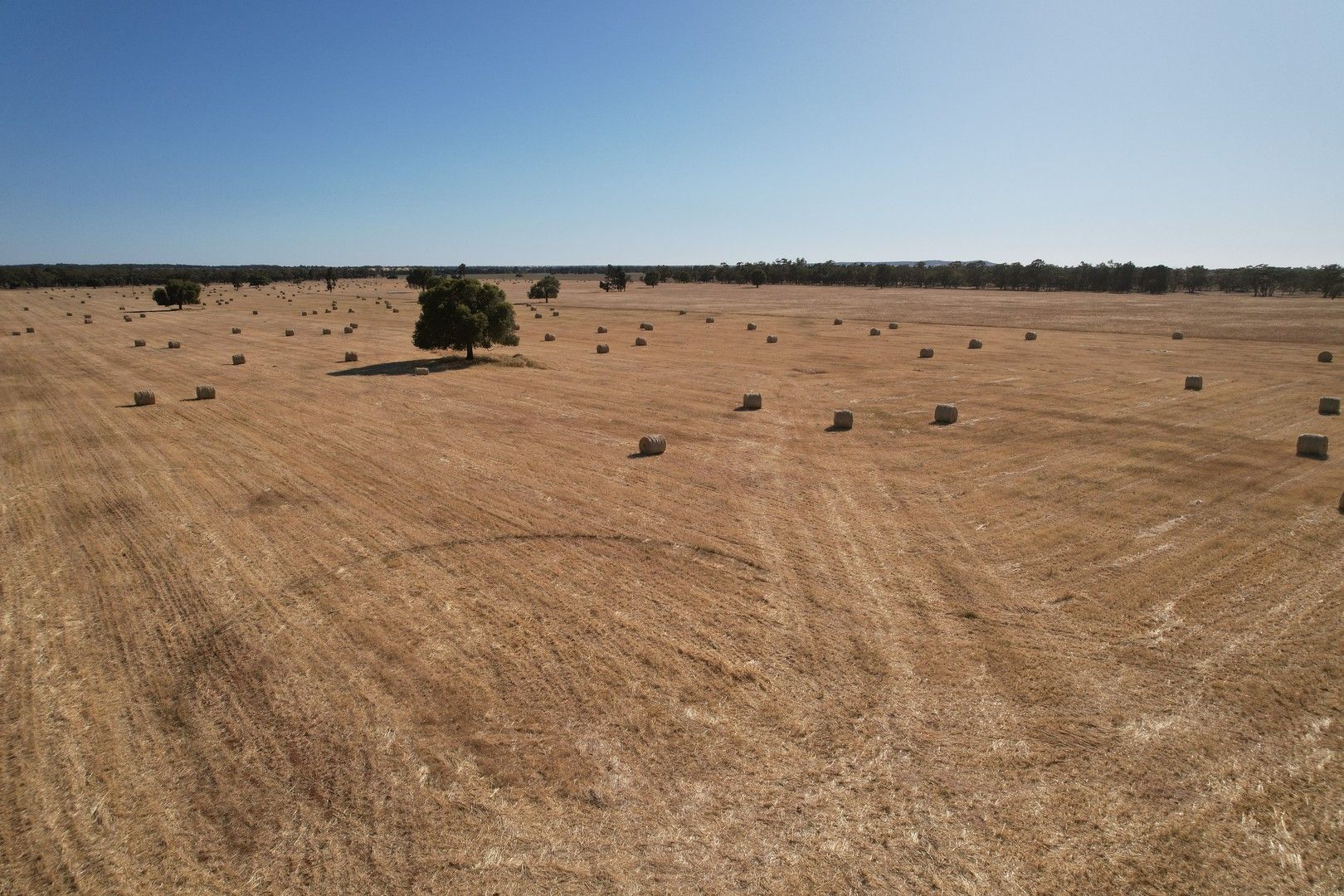 'Boree Glen' 456 Whymarks Lane, Tullibigeal NSW 2669, Image 0