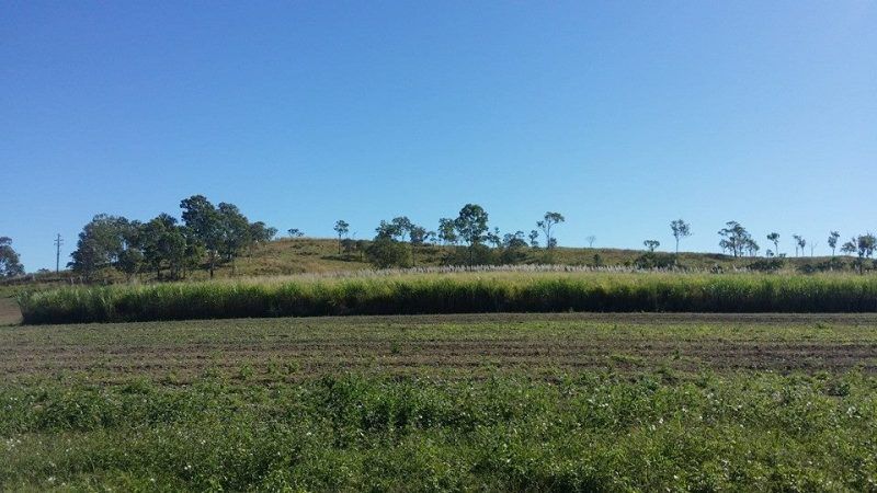 50 Dunwold-Cattle Creek Road, GARGETT QLD 4741, Image 0