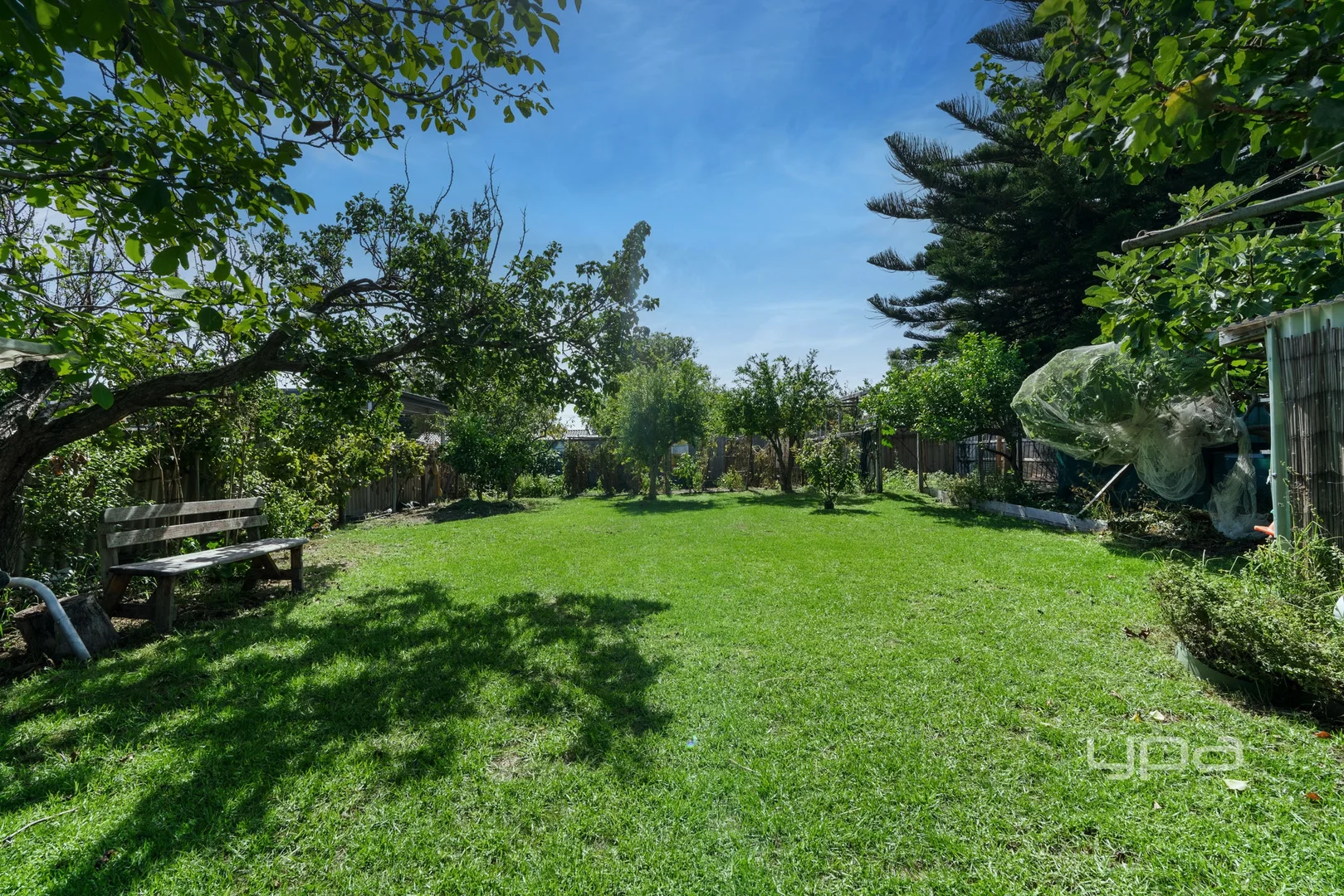 Additional image 4 of 74 Alma Street, Tootgarook VIC 3941