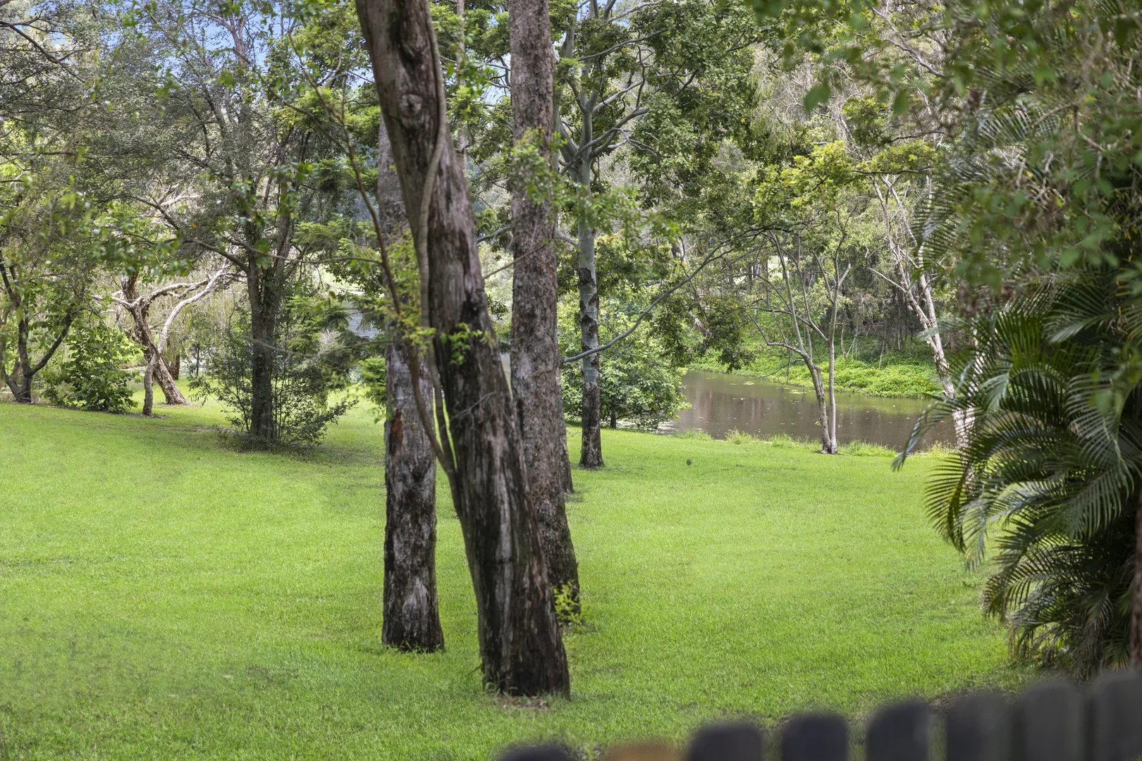 Additional image 17 of 1 Saint Andrews Glade, Robina QLD 4226