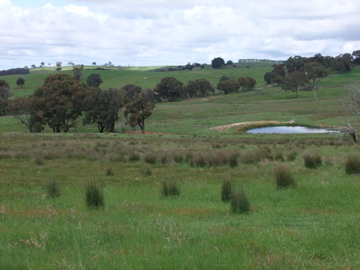 Part Red Hill Triangle Flat Road, Bathurst NSW 2795, Image 1