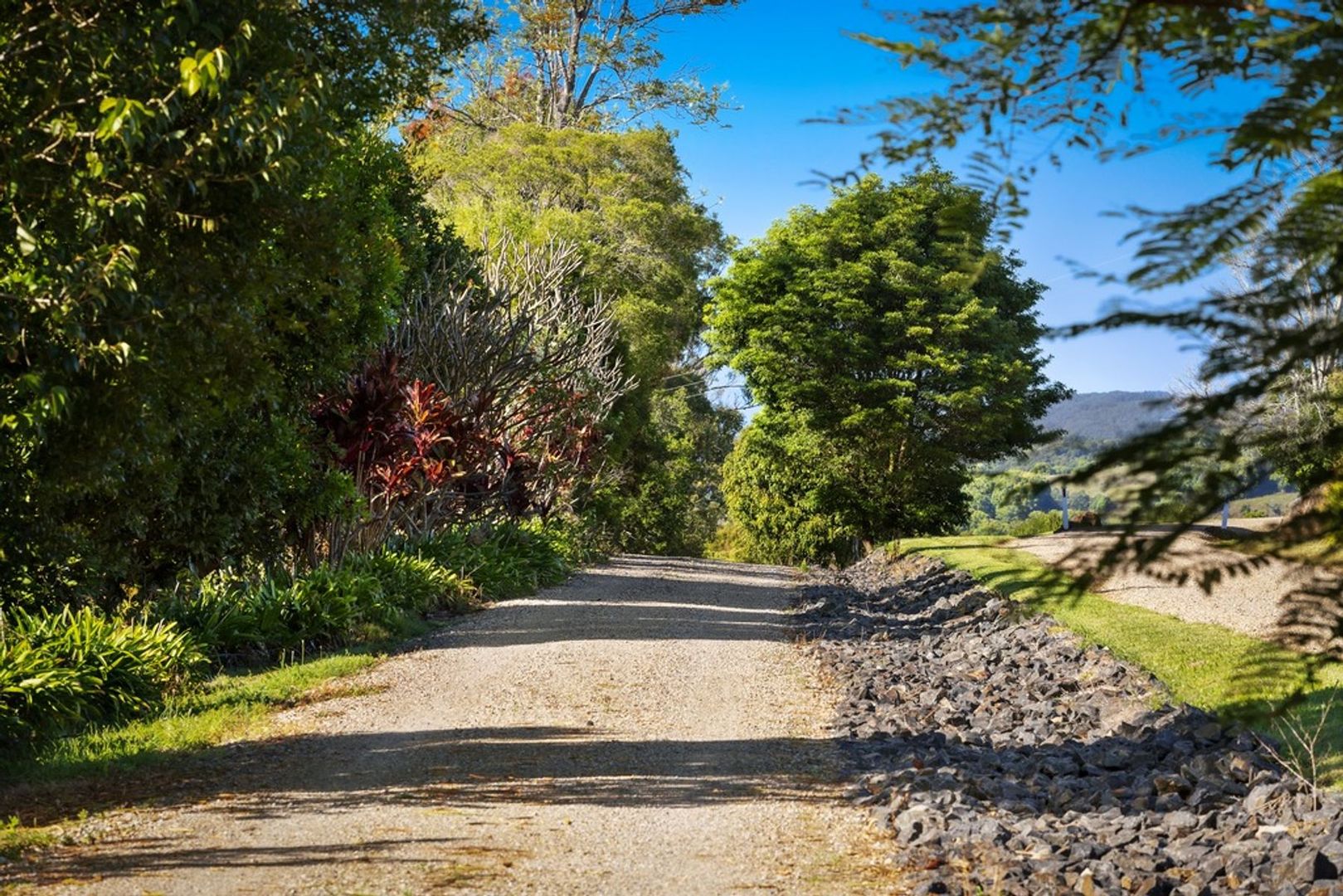 1 Majors Lane, Fernleigh NSW 2479 House for Sale Domain