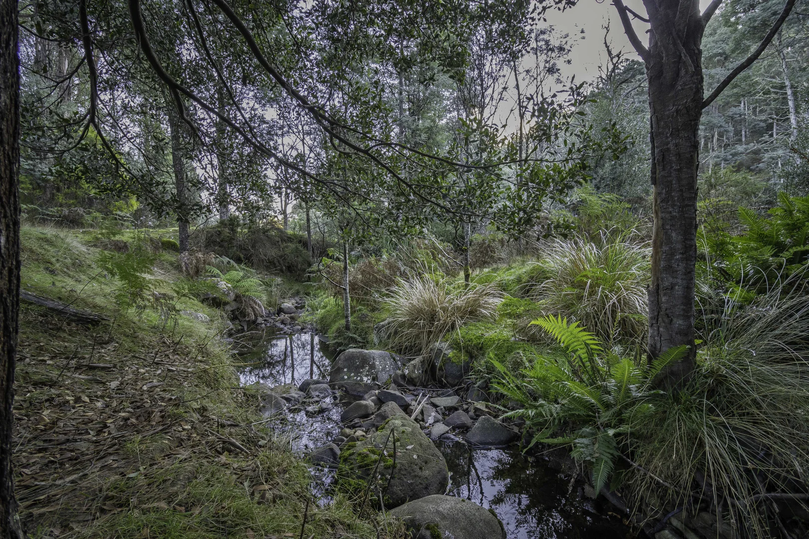 Image 13