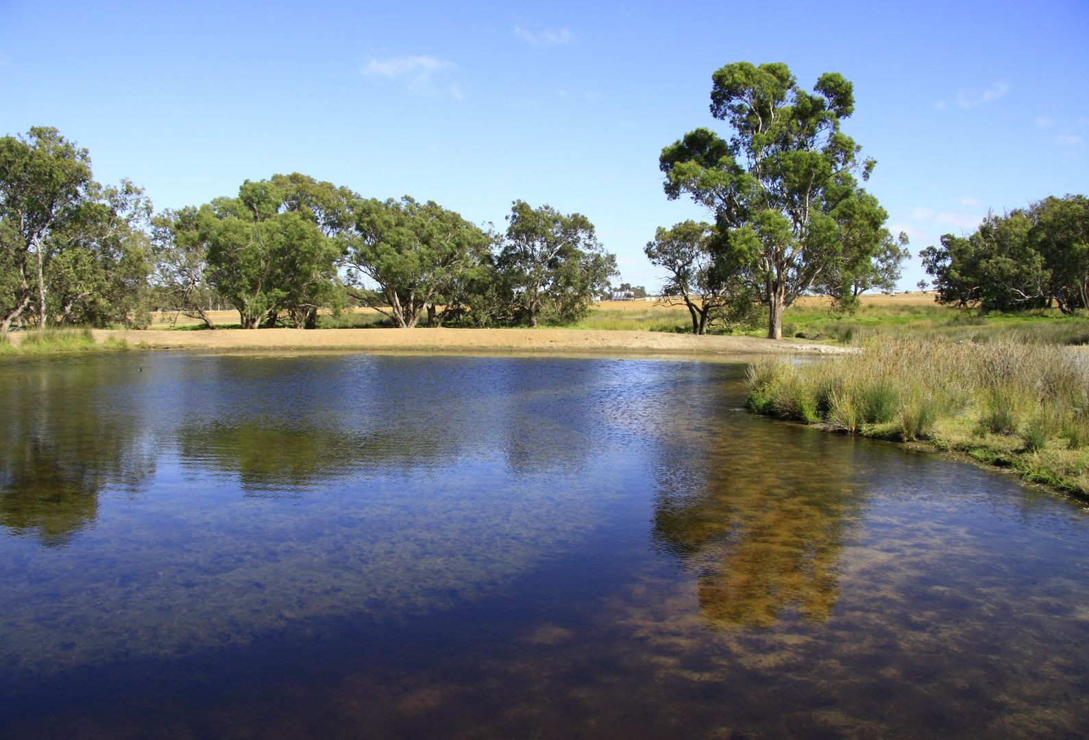 . ''Yathroo'', Dandaragan WA 6507, Image 1