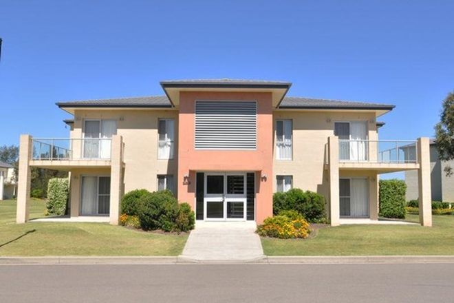 Picture of 52/430 Wine Country Drive, LOVEDALE NSW 2325