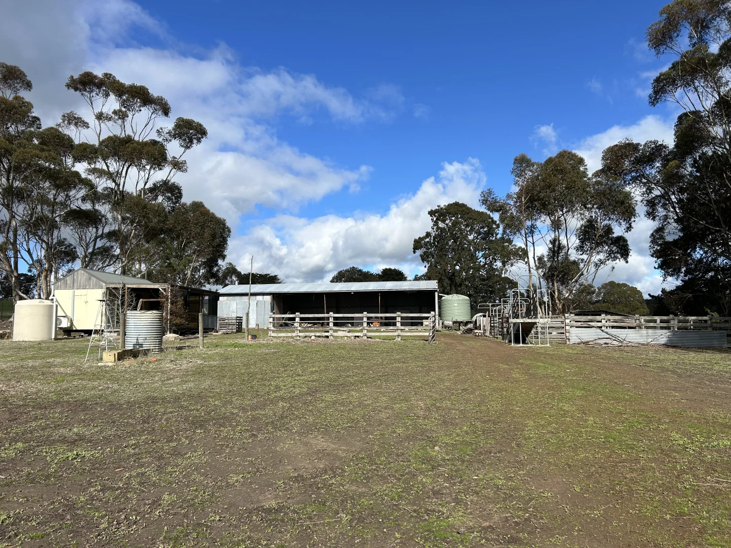Image 15
