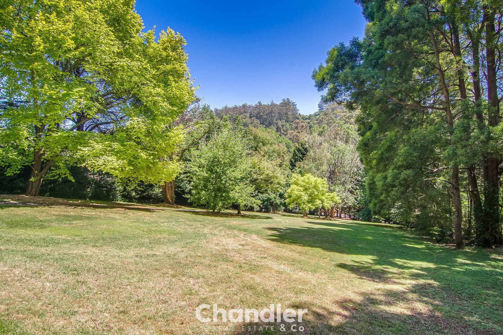 126 Monbulk Road, Kallista VIC 3791, Image 0