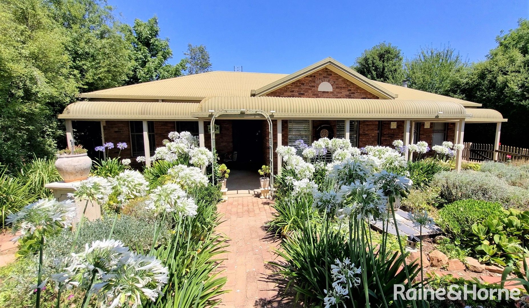 110 Blackett Avenue, Young NSW 2594, Image 0