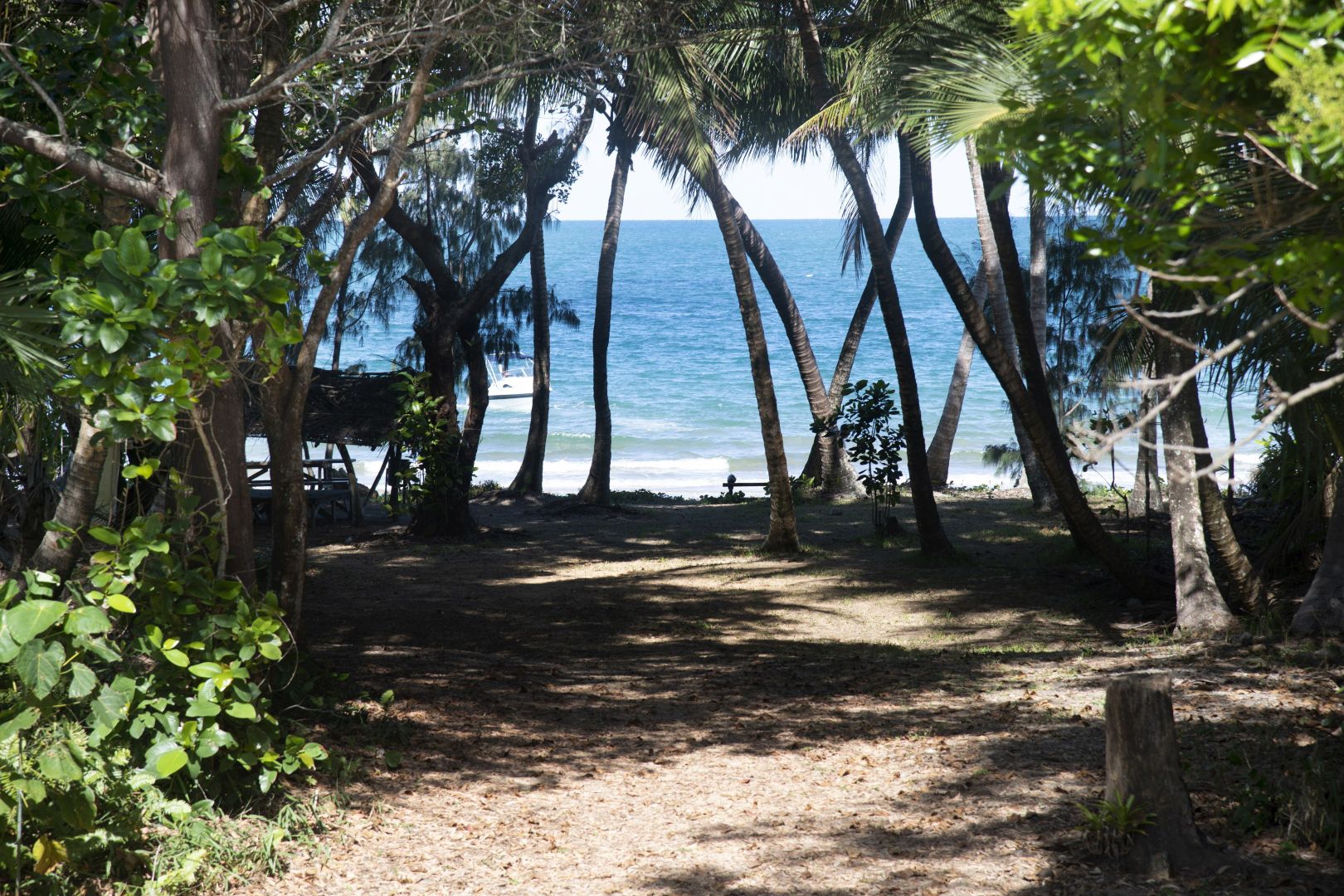 4 Koda St, Wongaling Beach QLD 4852 Domain