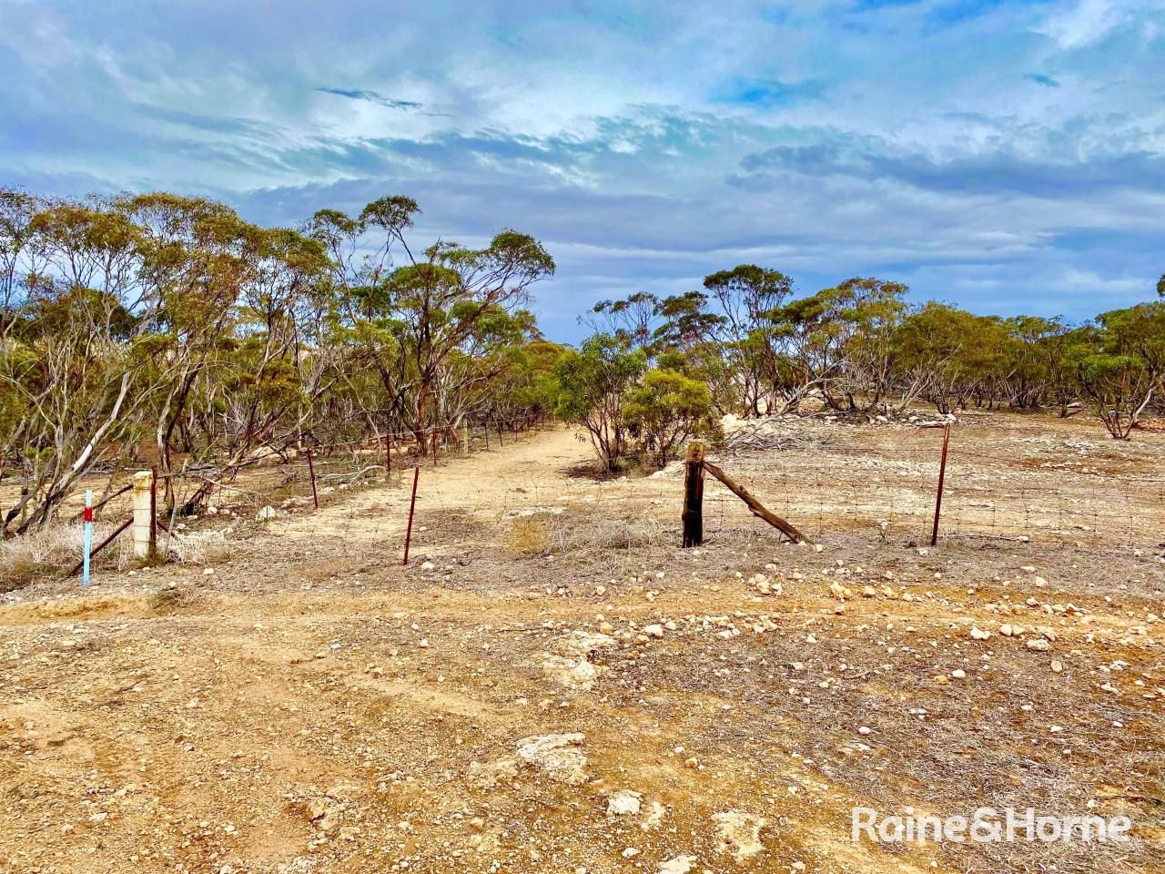 13 Hundred Line Road, Bowhill SA 5238, Image 1