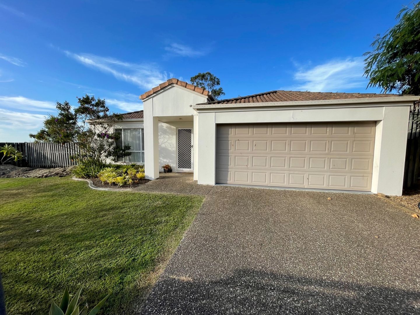 4 Daintree Drive, Parkwood QLD 4214 House For Rent 815 Domain