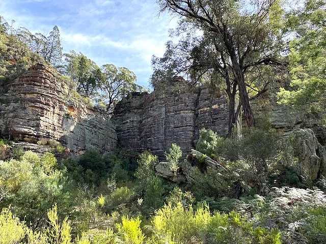 Image 8