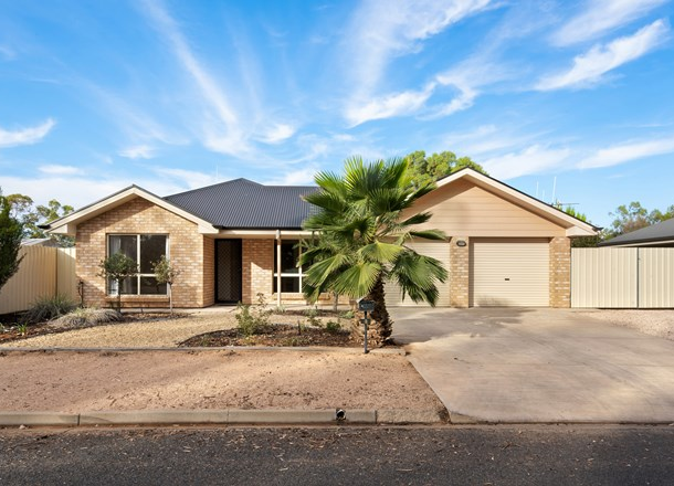 3 Murray Price Drive, Renmark SA 5341