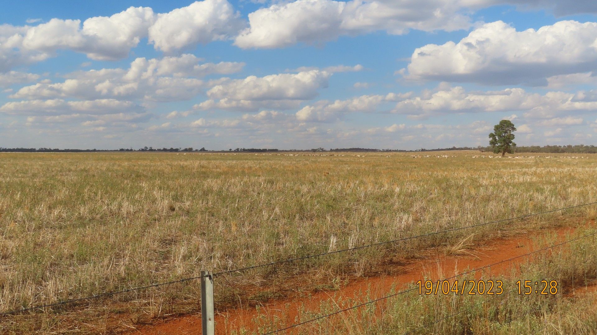 * Karinya, Hermidale NSW 2831, Image 0