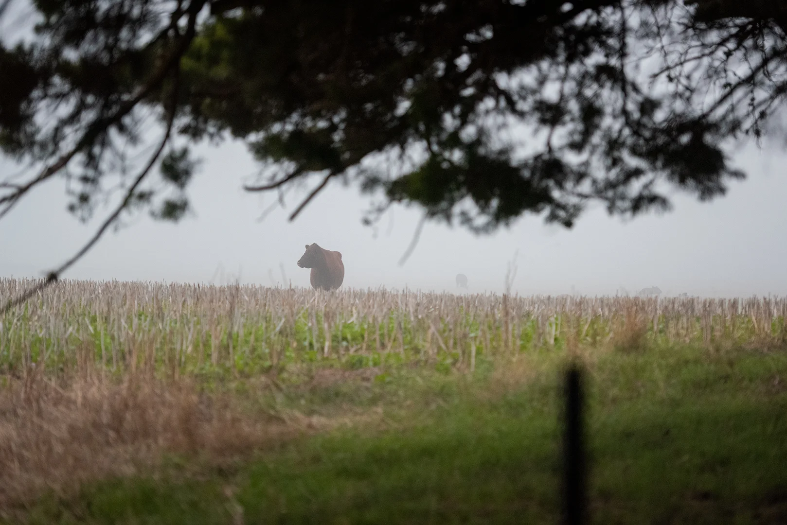 Additional image 31 of 90 Whitehands Road, Weatherboard VIC 3352