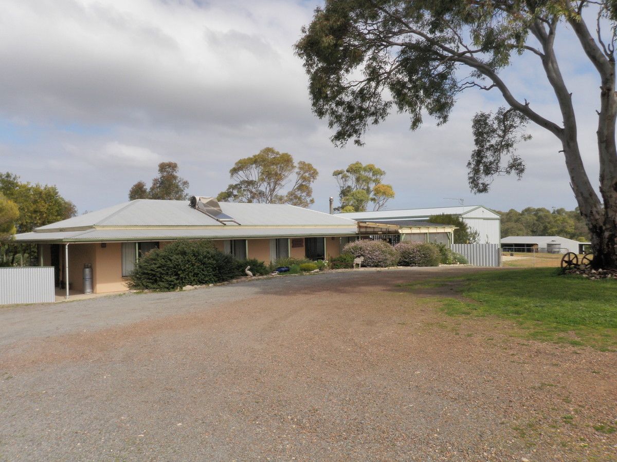 Section 14 Flinders Highway, Wangary SA 5607, Image 0