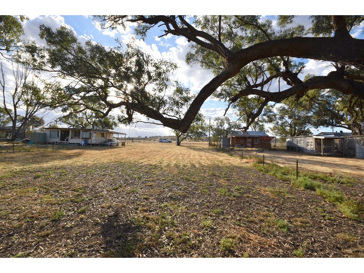 73 Mallee Road, Walker Flat SA 5238, Image 2