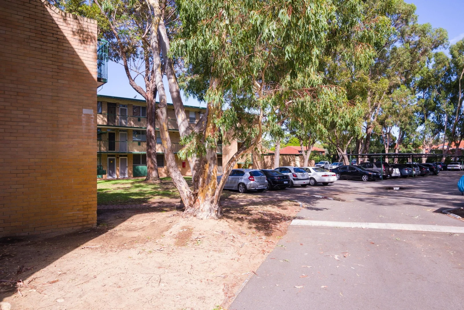 Image 12