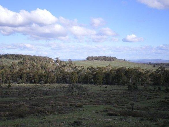 . Shannons Flat Rd, COOMA NSW 2630, Image 1