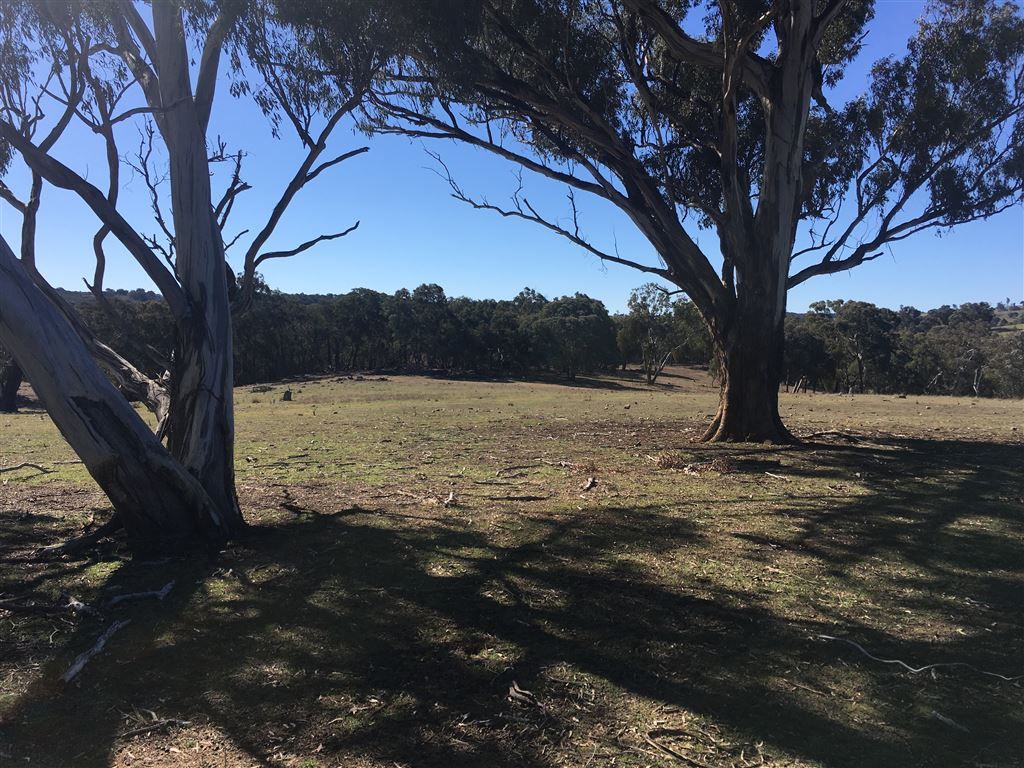 Lot 3/60 Beechworth Road Hargraves, Mudgee NSW 2850, Image 1