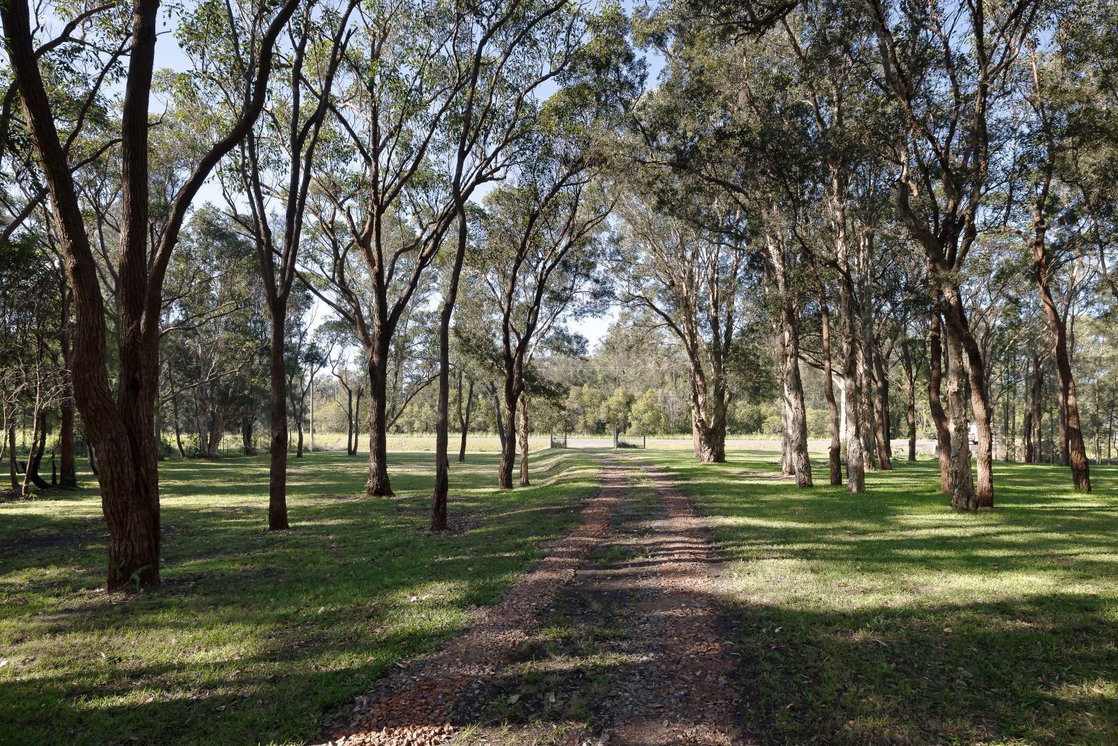 403 Lemon Tree Passage Road, Salt Ash NSW 2318, Image 1