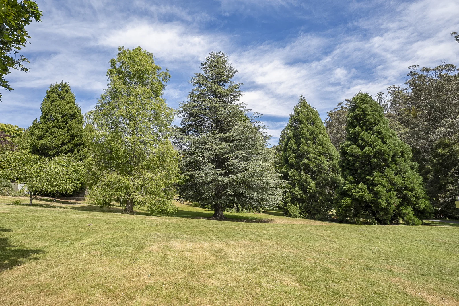 Additional image 16 of 7 Louden Street, South Hobart TAS 7004