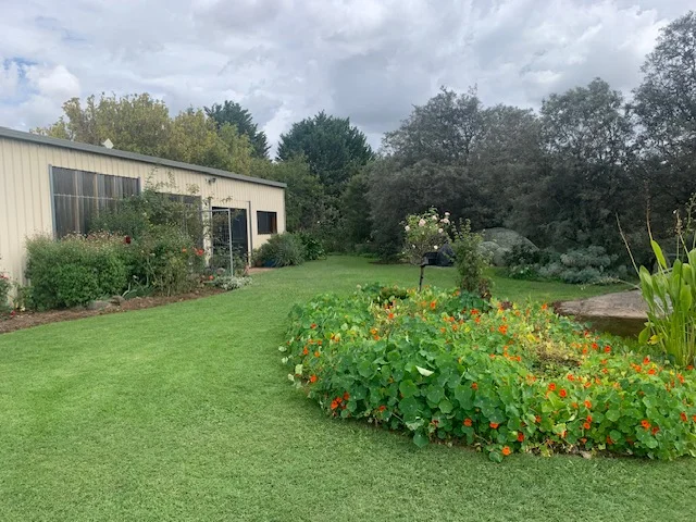 Image 20