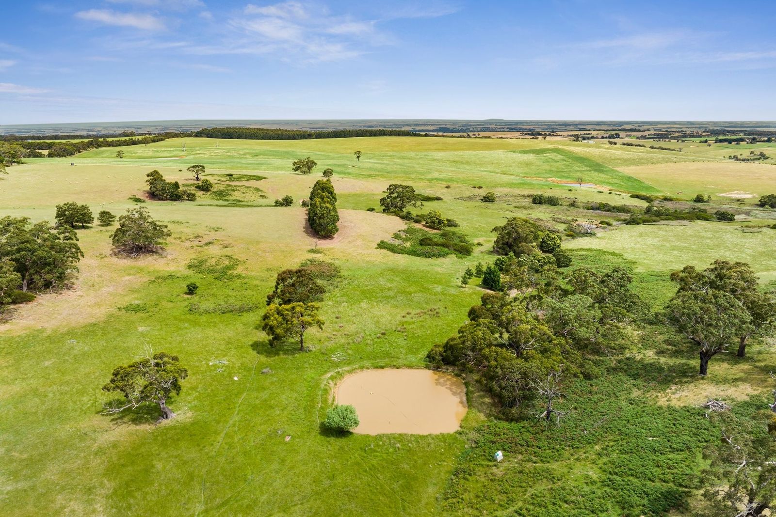 193 Savage Hill Road, Dereel VIC 3352 Vacant Land for Sale Domain