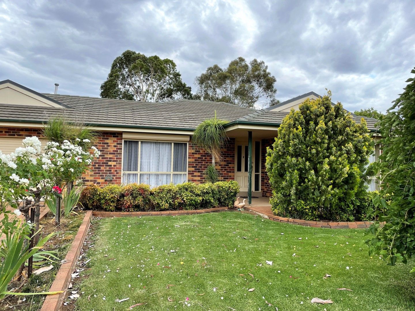 5 Barwidgee Boulevard, Darlington Point NSW 2706, Image 0