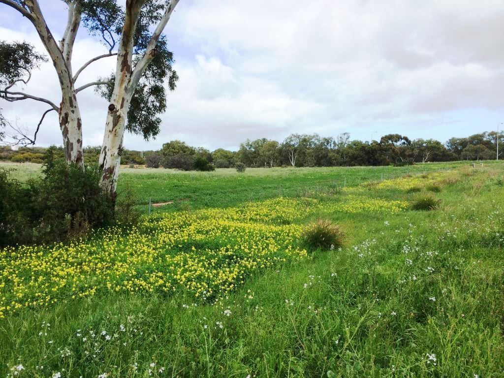 * The Midlands Road, Dongara WA 6525, Image 0