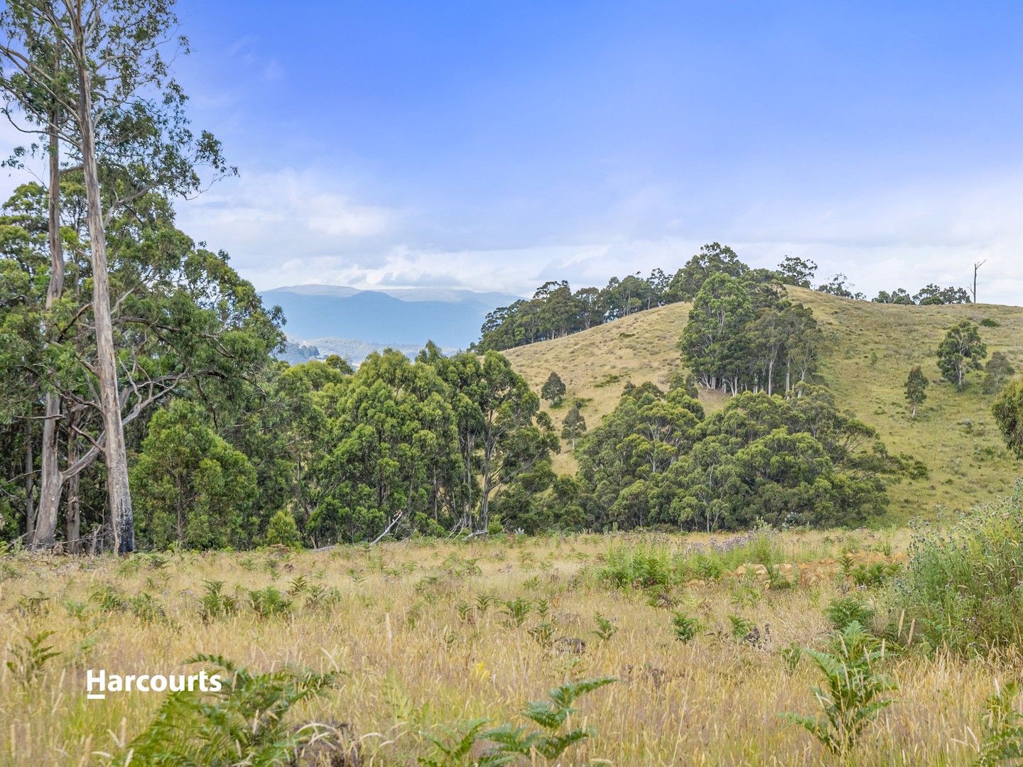 Lot 2 Lightwood Creek Road, Glen Huon TAS 7109, Image 0