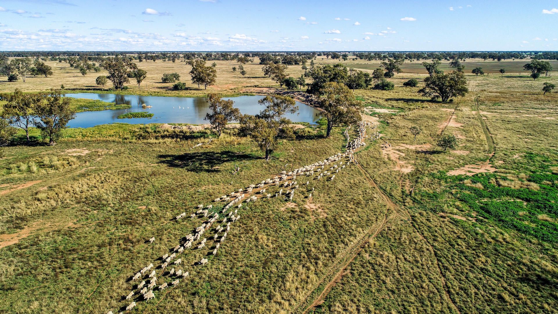 Sold in Coonamble NSW 2829 on 10 Sep 2021 2017138664 Domain