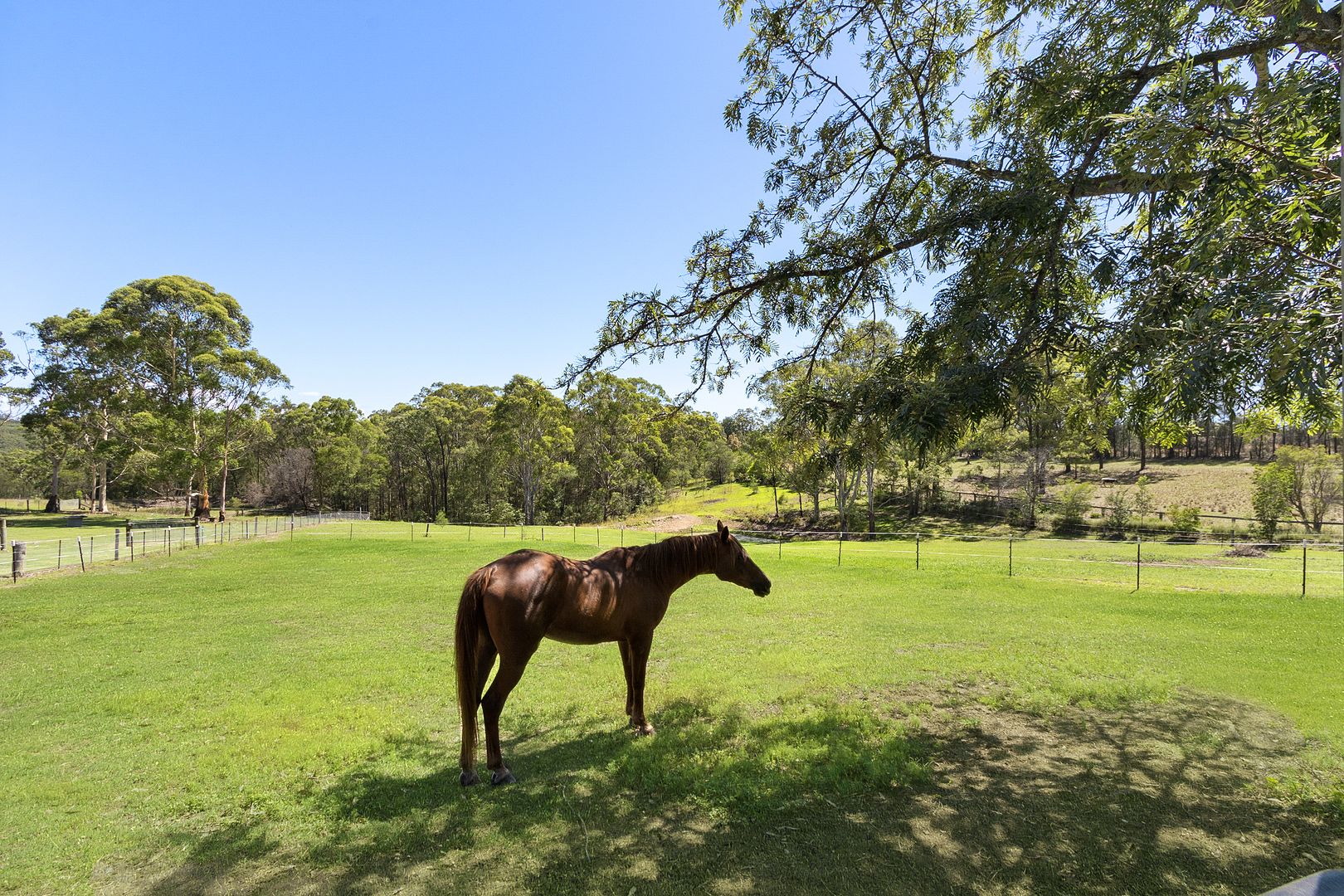 407 East Kurrajong Road, East Kurrajong NSW 2758, Image 1