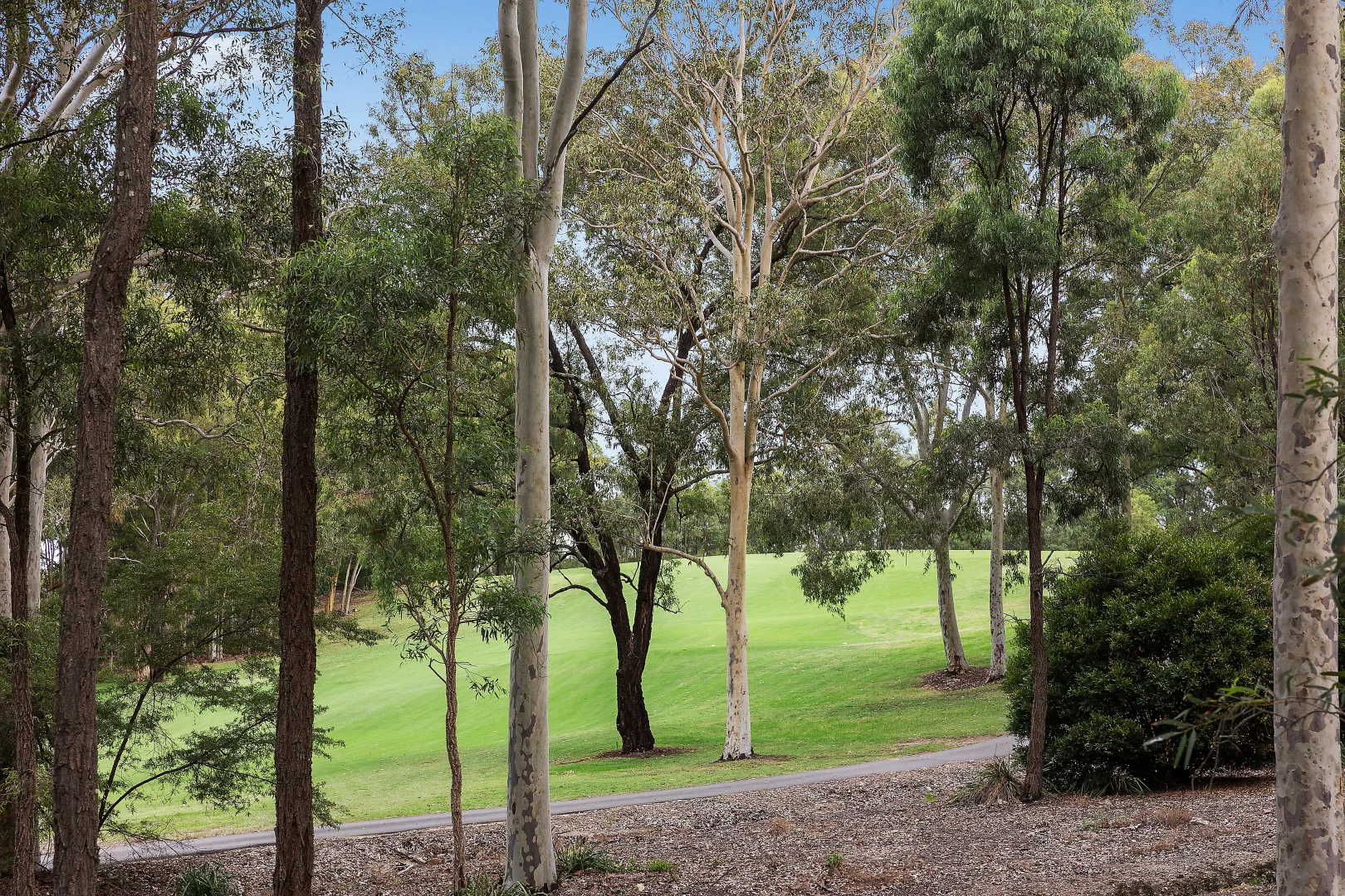 Additional image 8 of 506/15 Thompsons Road, Pokolbin NSW 2320