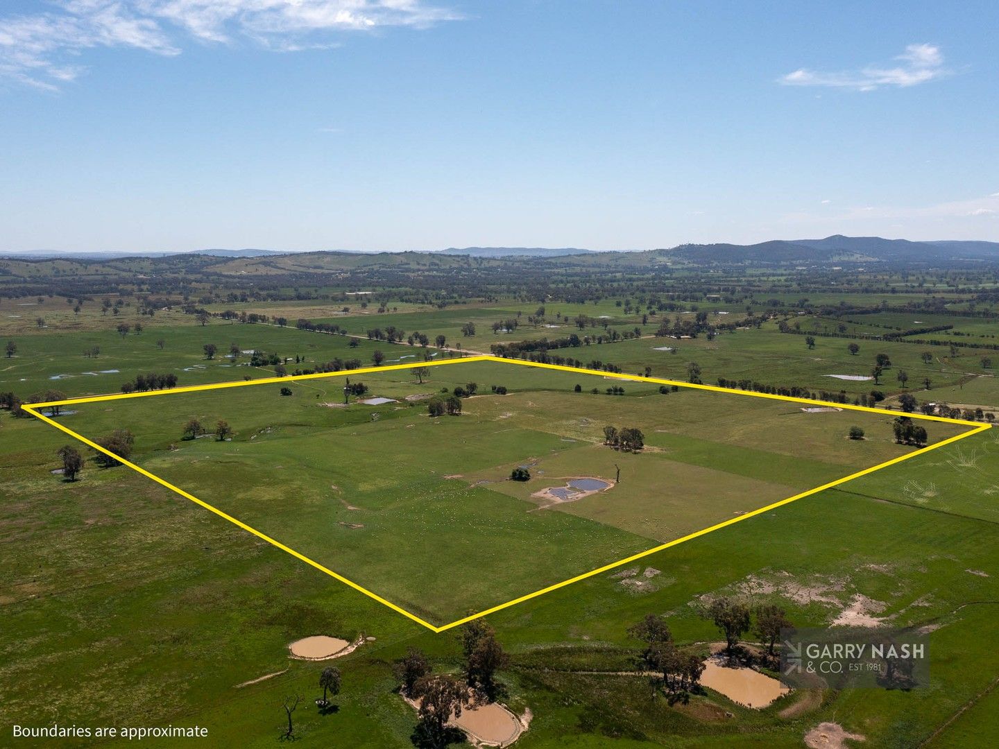 41 Ellis Lane, Greta VIC 3675 House for Sale Domain