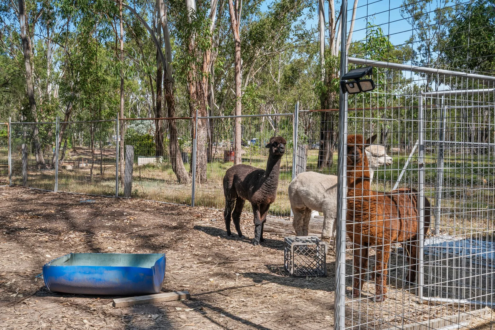 Additional image 15 of 8 Lewis Court, Lockyer Waters QLD 4311