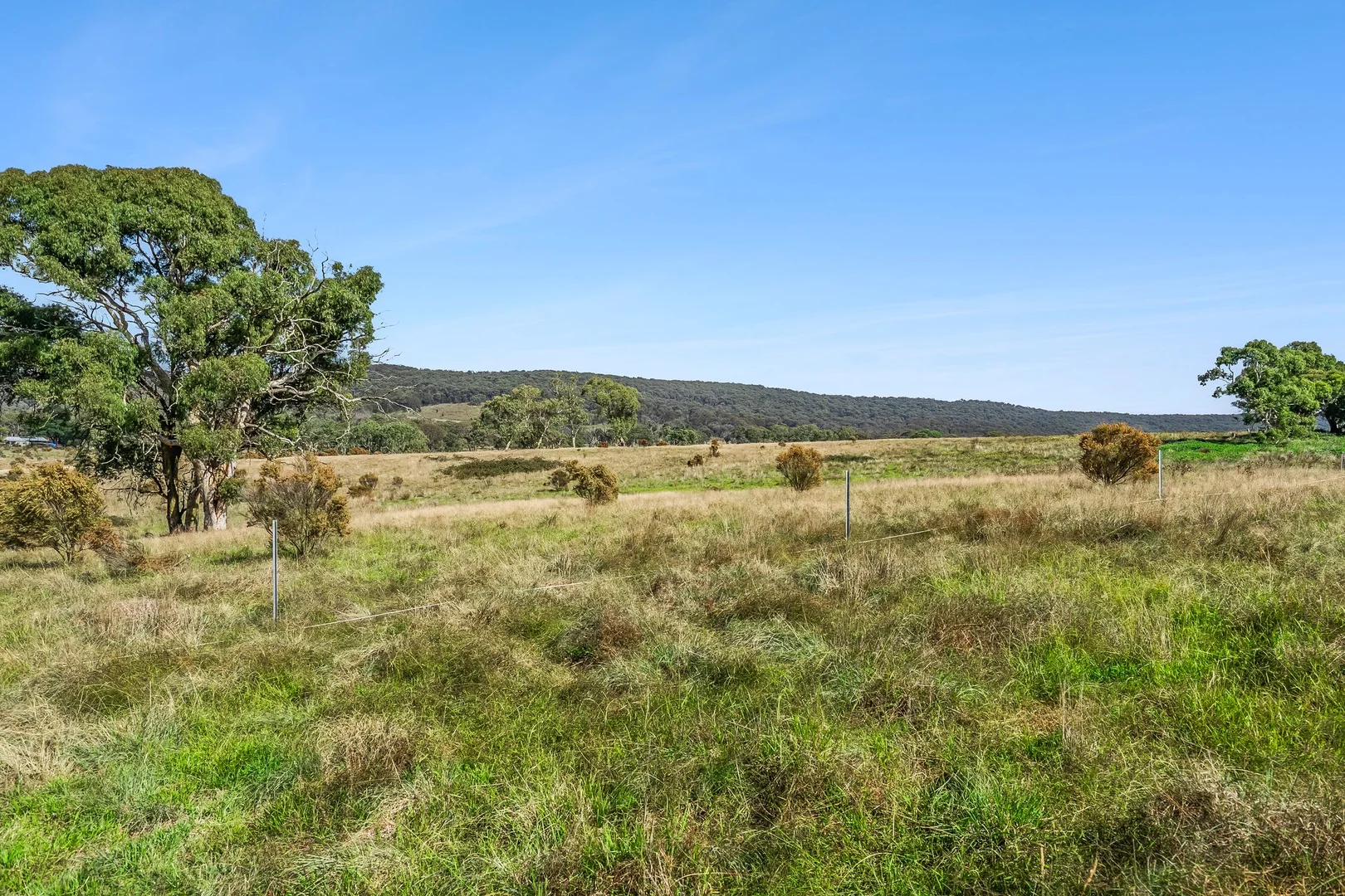 Additional image 13 of 1351 Taralga Road, Tarlo NSW 2580