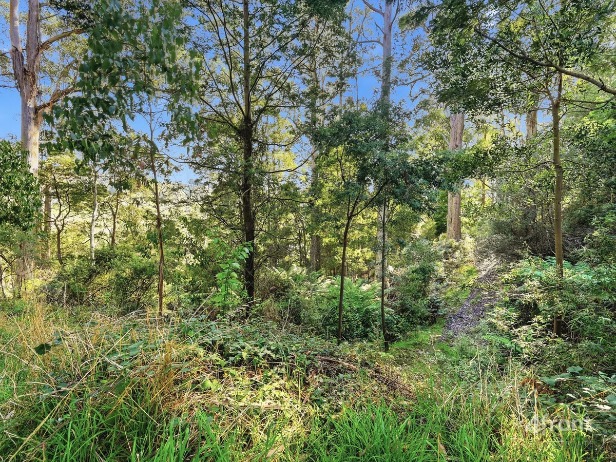 Additional image 19 of 89 Patons Road, Penguin TAS 7316