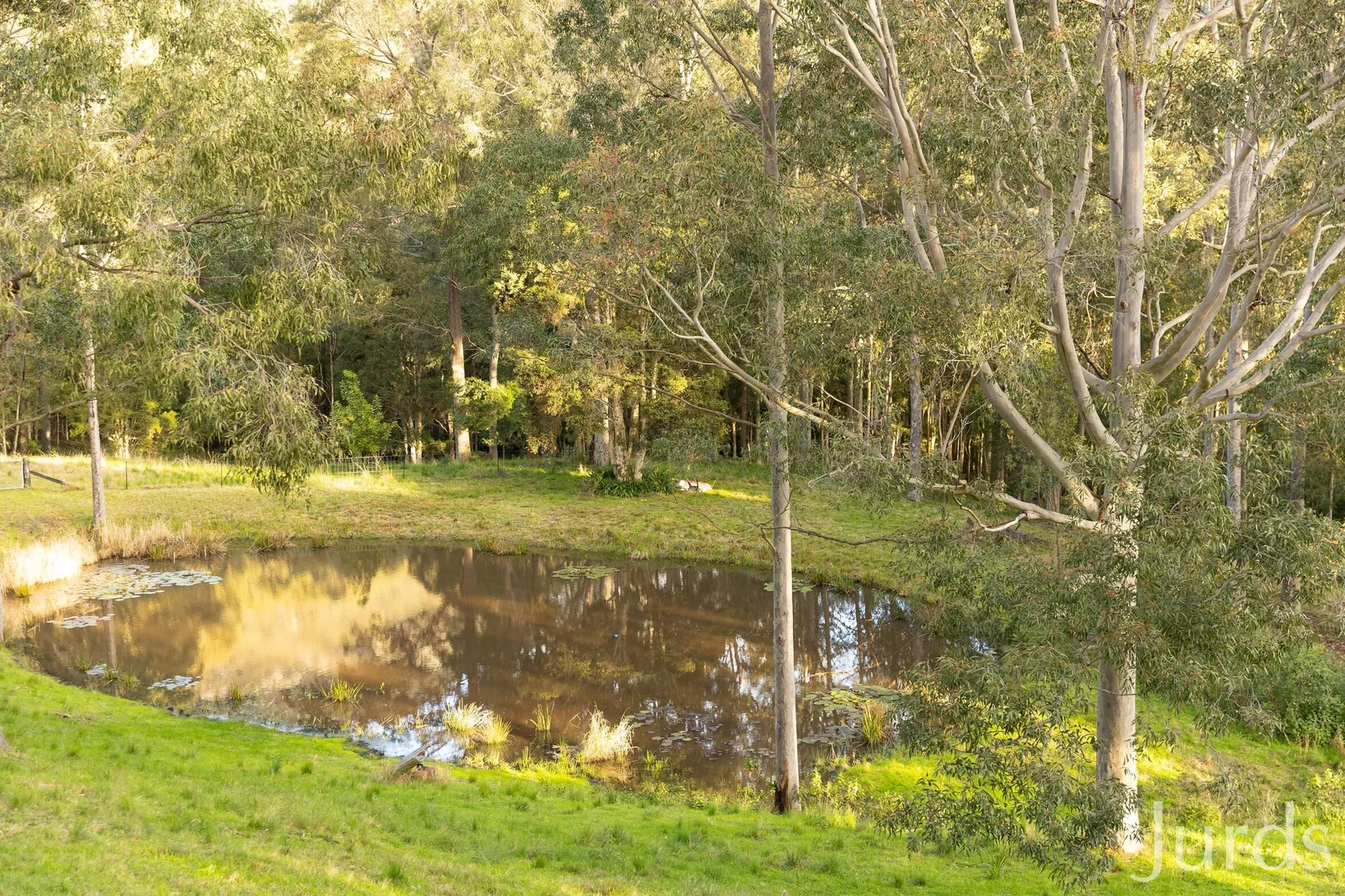 Image 33